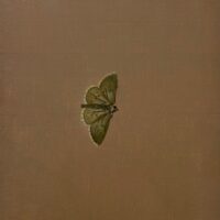 2025 oil on panel 8 1/2 x 6 1/4