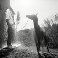 silver gelatin print