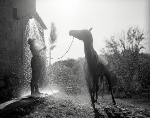 silver gelatin print