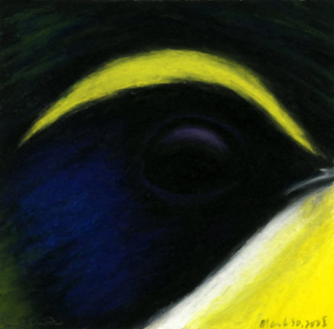 2008 oil pastel on paper 5 x 5 inches