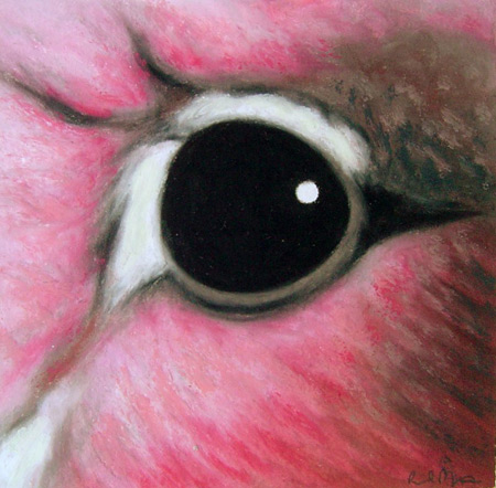 1998 oil pastel on paper 5 x 5 inches