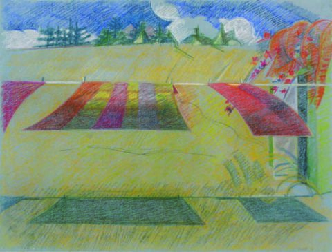1979 hard pastel on paper 18 3/4 x 25 inches Private Collection