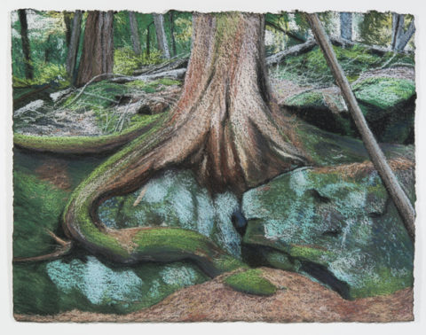 2012 pastel on paper 22 1/2 x 30 inches