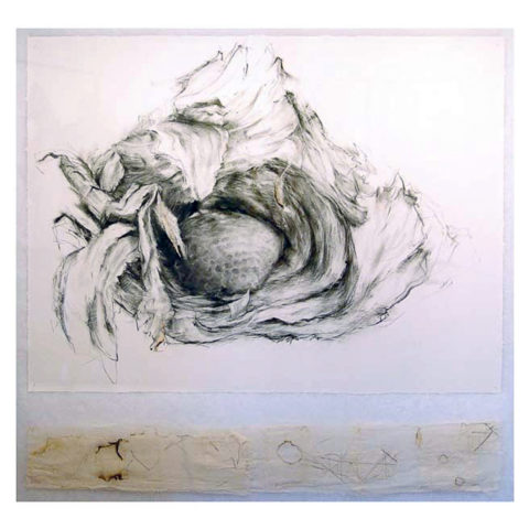 2008 charcoal, graphite, cloth, ink, thread on paper 50 x 60 inches