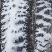 2014 charcoal