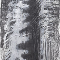 2014 charcoal