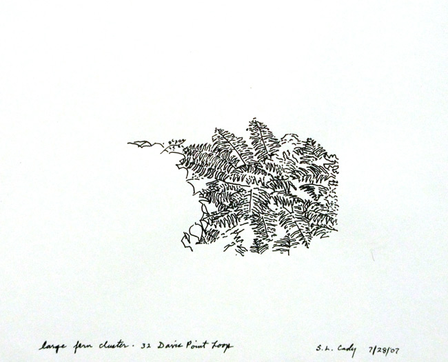 2007 pen and ink on paper 11 x 14 inches