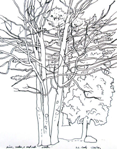 2008 pen and ink on paper 11 X 14 inches