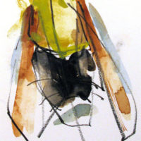 2008 watercolor and litho crayon 8 x 8 inches Private Collection