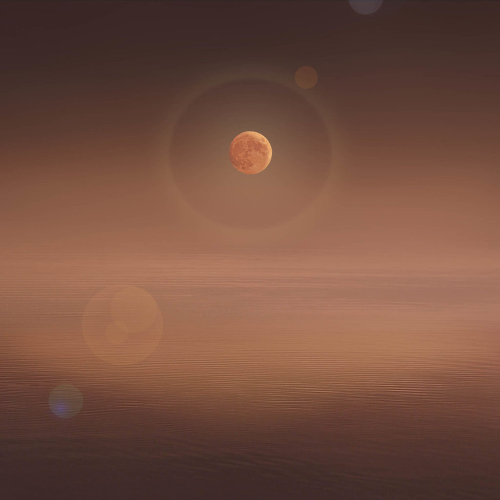 photograph 13 x 13 inches