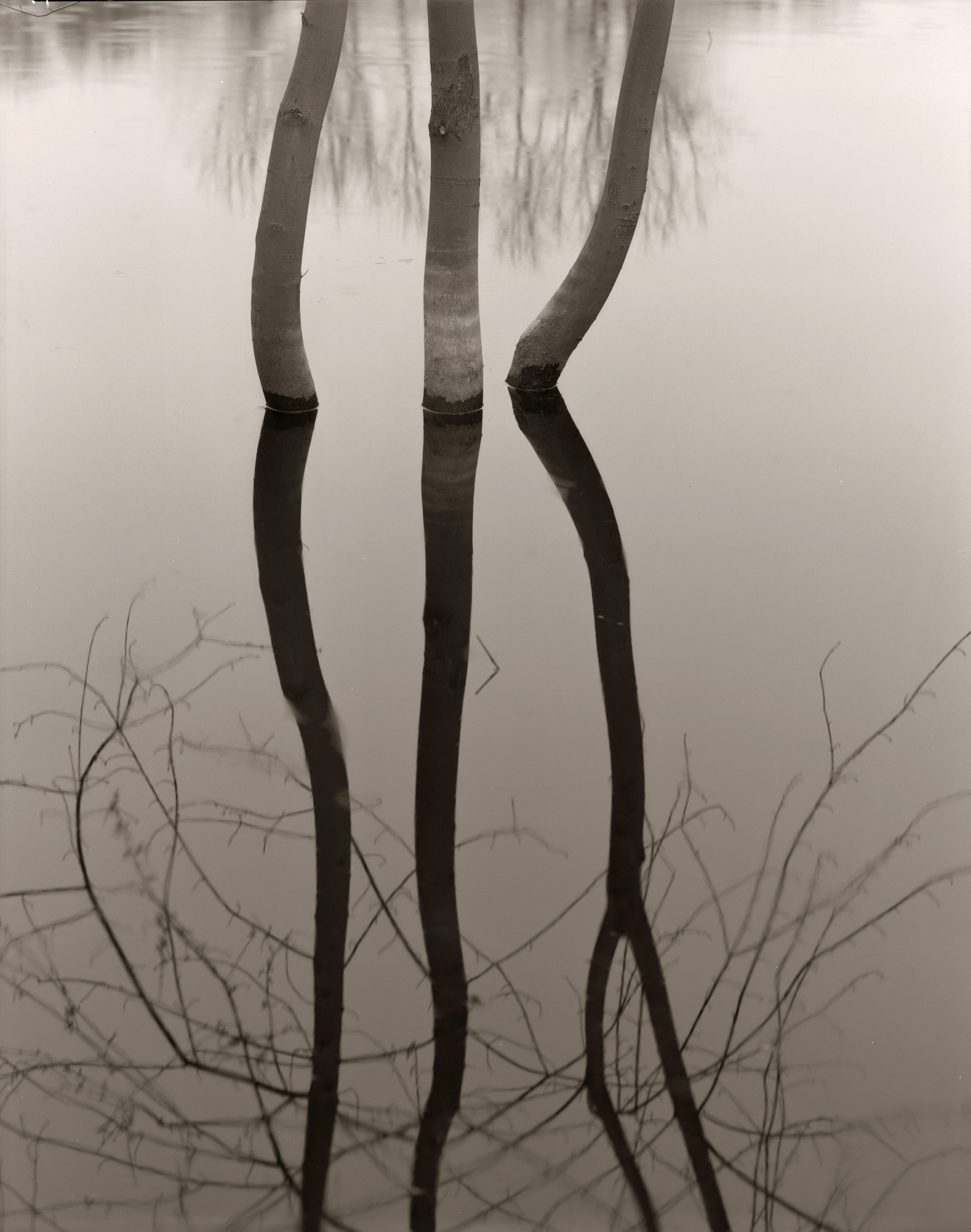 Koichiro Kurita Caldbeck Gallery