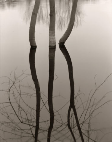 1991 platinum palladium print 24 x 30 inches Ed. # 1/5