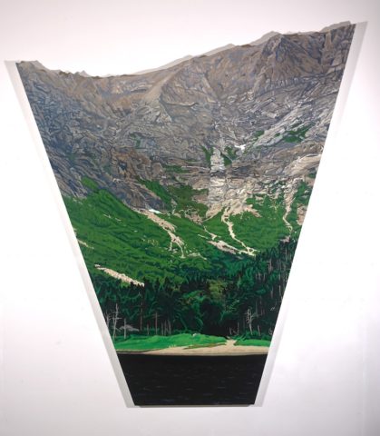 2006-2009 oil on shaped canvas 75 x 68 inches