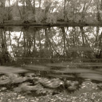 1994 platinum palladium print ed 7/20 8 x 10 inches