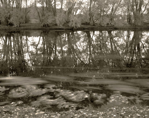 1994 platinum palladium print ed 7/20 8 x 10 inches