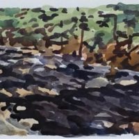 watercolor 6 x 10 inches