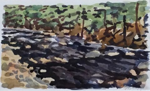 watercolor 6 x 10 inches