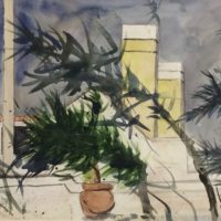 watercolor 16 x 23 inches
