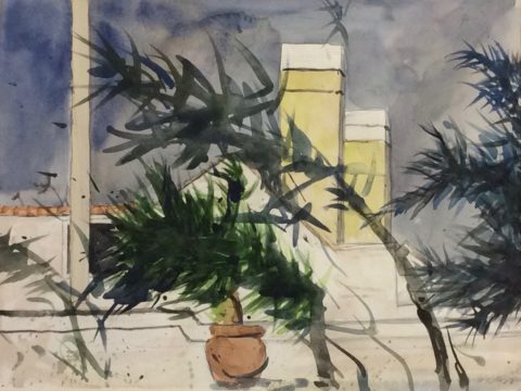 watercolor 16 x 23 inches
