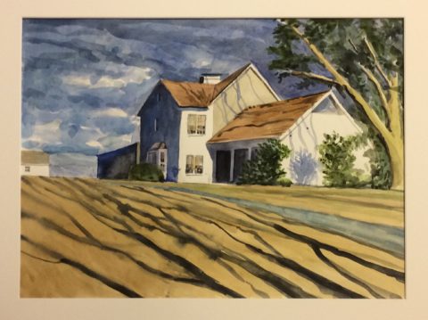 Tree Shadows wc 16x22.jpg
