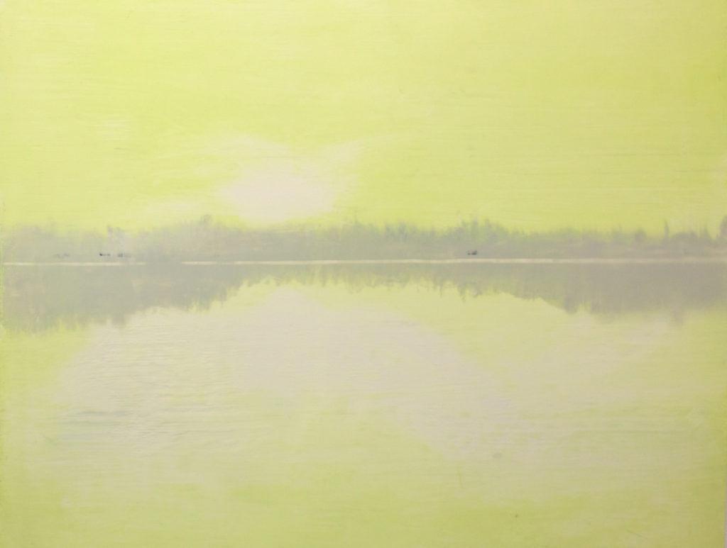 2018 oil on acetate 19 x 24 inches