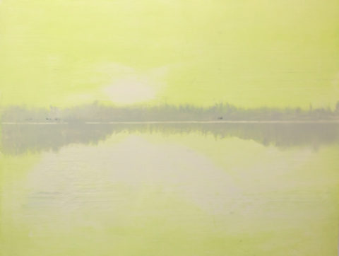 2018. oil on acetate. 19 x 24 inches