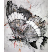 2012 litho crayon, relief ink on yupo paper 67 x 59 inches