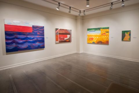 Installation from ONE PLACE, TWO VIEWS at the Maier Museum of Art at Randolph College, January 25 - April 14, 2019