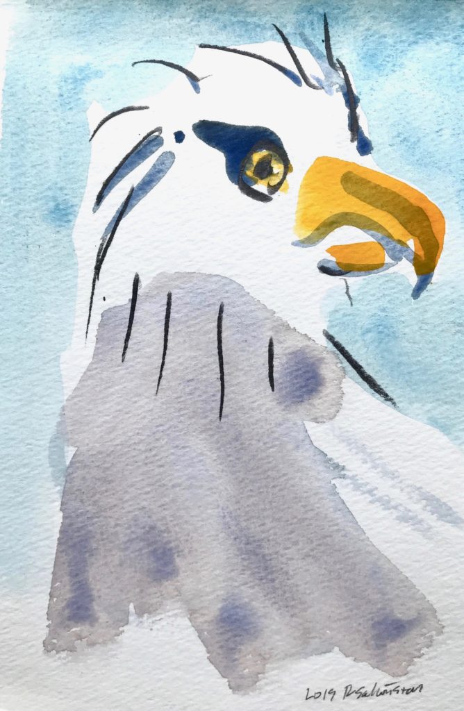 2019 watercolor 8 1/2 x 5 1/2 inches
