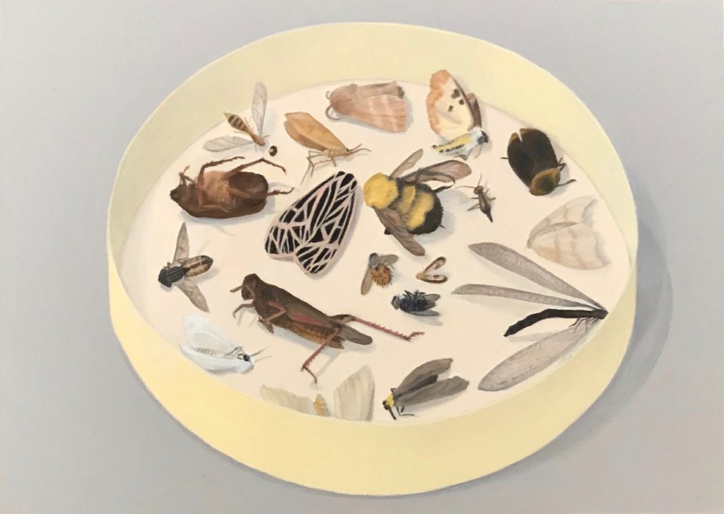2018 oil on board 5 x 7 inches (private collection)