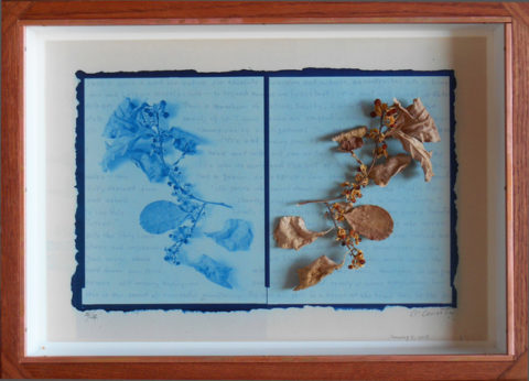2019 cyanotype print photo collage 15 1/2 x 21 1/2 inches