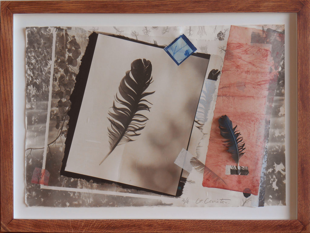 2019 platinum print photo collage 27 x 36 inches