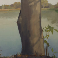 2019 oil on canvas 24 x 27 1/2 inches