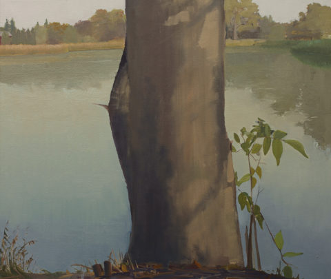 2019 oil on canvas 24 x 27 1/2 inches