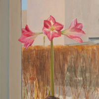 2019 oil on canvas 24 x 20 inches
