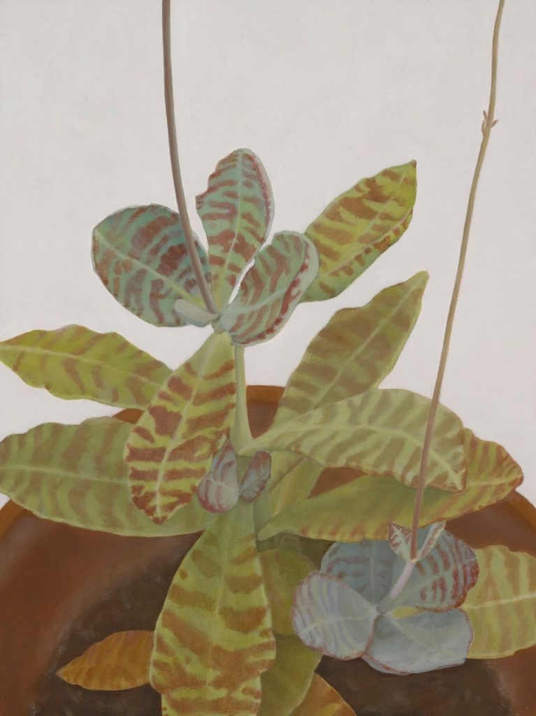 2021 oil on panel 12 x 9 inches