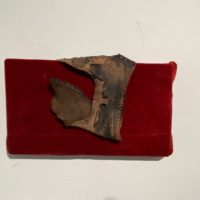 2020 velvet, found leather shoe fragment 9 x 5 x 1 inches
