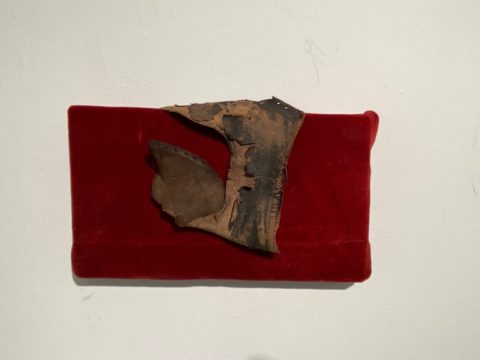 2020 velvet, found leather shoe fragment 9 x 5 x 1 inches