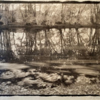 1994 platinum palladium print 8 x 10 inches