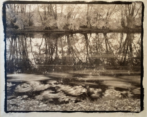 1994 platinum palladium print 8 x 10 inches