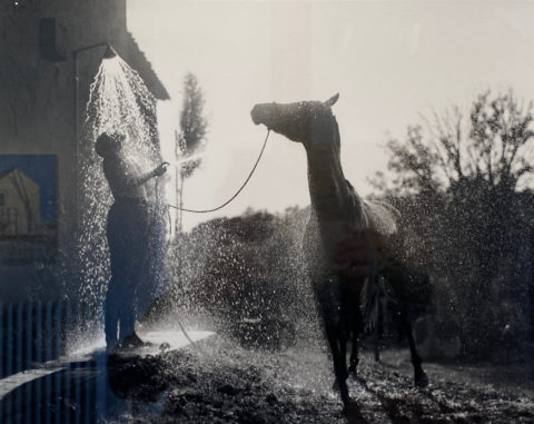 1993 silver gelatin print 16 x 20 inches