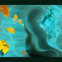 2022 photograph 66 x 46 inches
