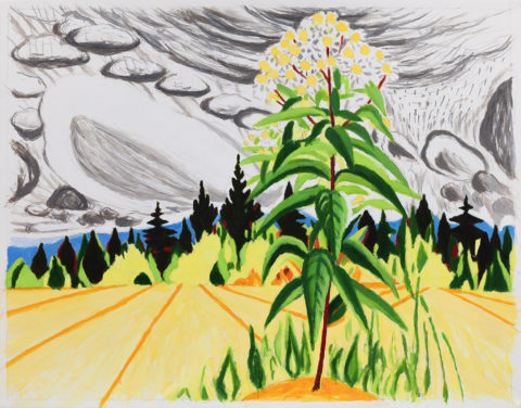 2022 acrylic on paper 11 x 14 inches