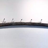 driftwood, painted wood. 7 x 58 x 2 inches