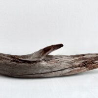 driftwood. 2 1/2 x 12 3/4 x 3 inches