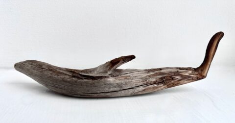 driftwood. 2 1/2 x 12 3/4 x 3 inches