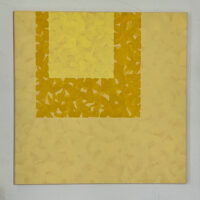 2024 flashe on aluminum 303 x 30 inches