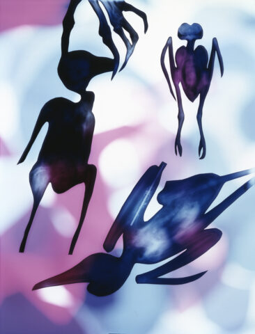 cliche verre 1996 19 x 14 inches