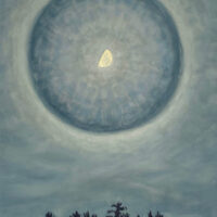2024 oil on canvas 20 x 16 inches
