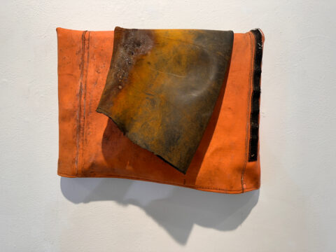 2024 inner tube, rain jacket on wood 12 x 13 x 3 inches